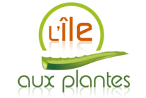 L'île aux plantes - Producteur d'Aloe arborescens en France