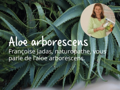 Françoise Jadas, naturopathe, vous parle de l'aloe arborescens