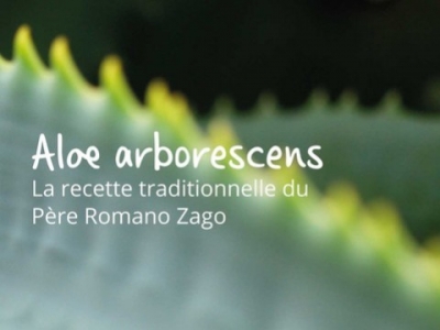 Aloe arborescens : la recette du père Romano Zago
