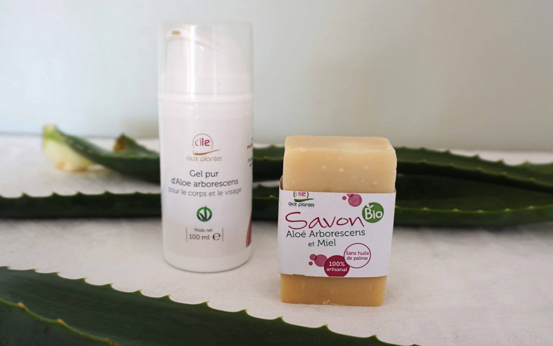 Notre routine beauté 100% aloe arborescens
