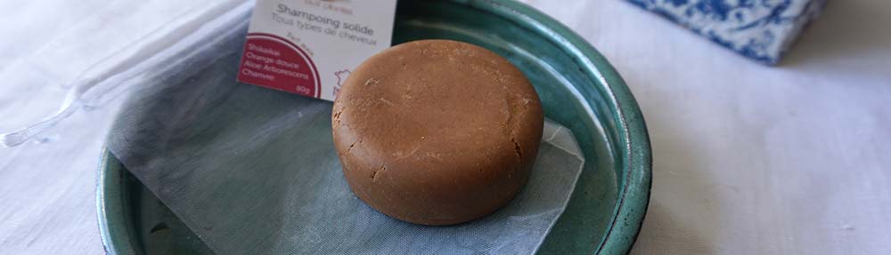 shampoing aloe arborescens