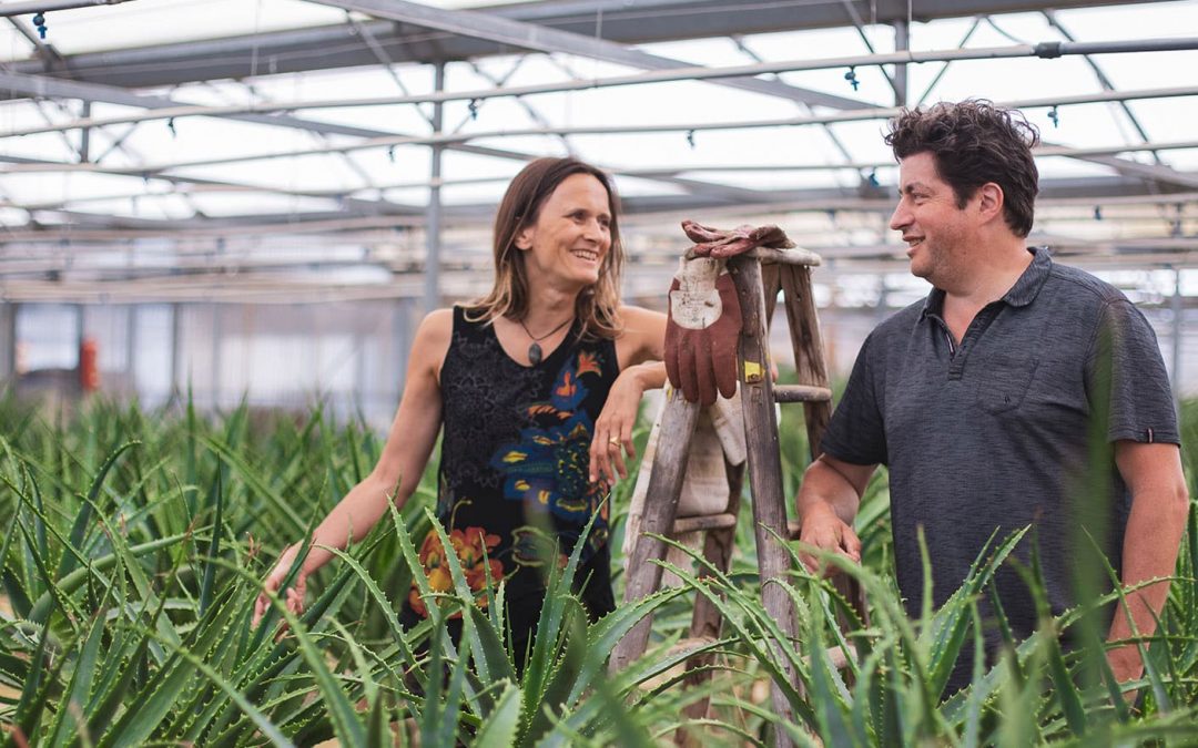 Pourquoi choisir du jus d’aloe arborescens bio cultivé en France ?