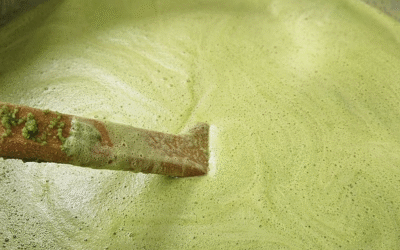 Quel goût a le jus d’aloe arborescens ?